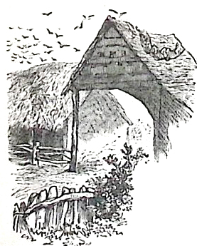 image009