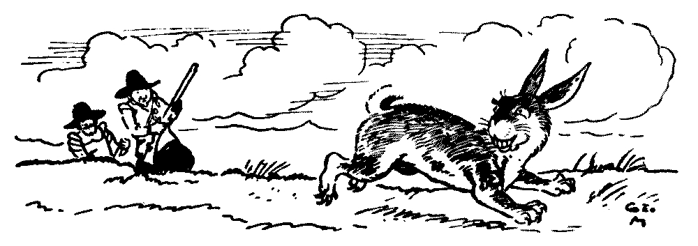 A drawing of two men with a gun looking a fleeing rabbit.