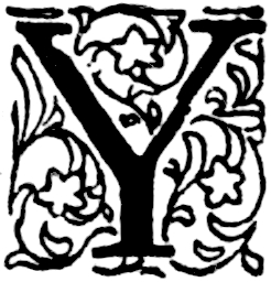 Y