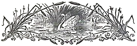 image003