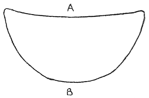 Fig. 6. Section of Jarawa bow