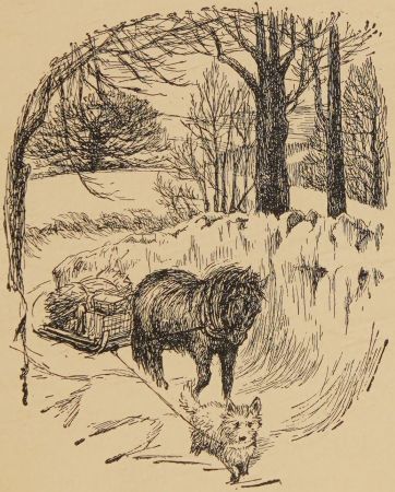 Pony Billy borrowed a sledge.