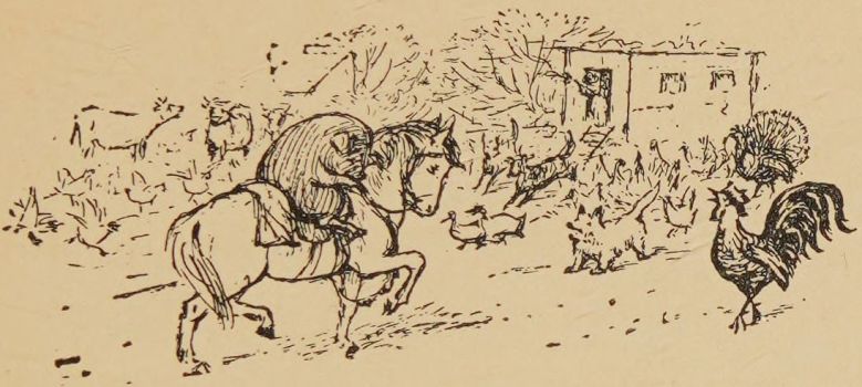 Pony Billy trotted into the orchard with Paddy pig.