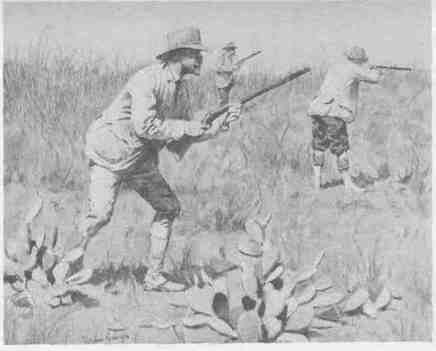 10 Running Blue Quail