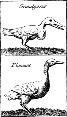 TOP: Pelican&mdash;BOTTOM: Wood Stock (on p. 260)