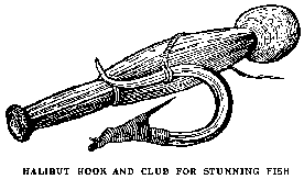 [Illustration: HALIBUT HOOK AND CLUB FOR
STUNNING FISH]